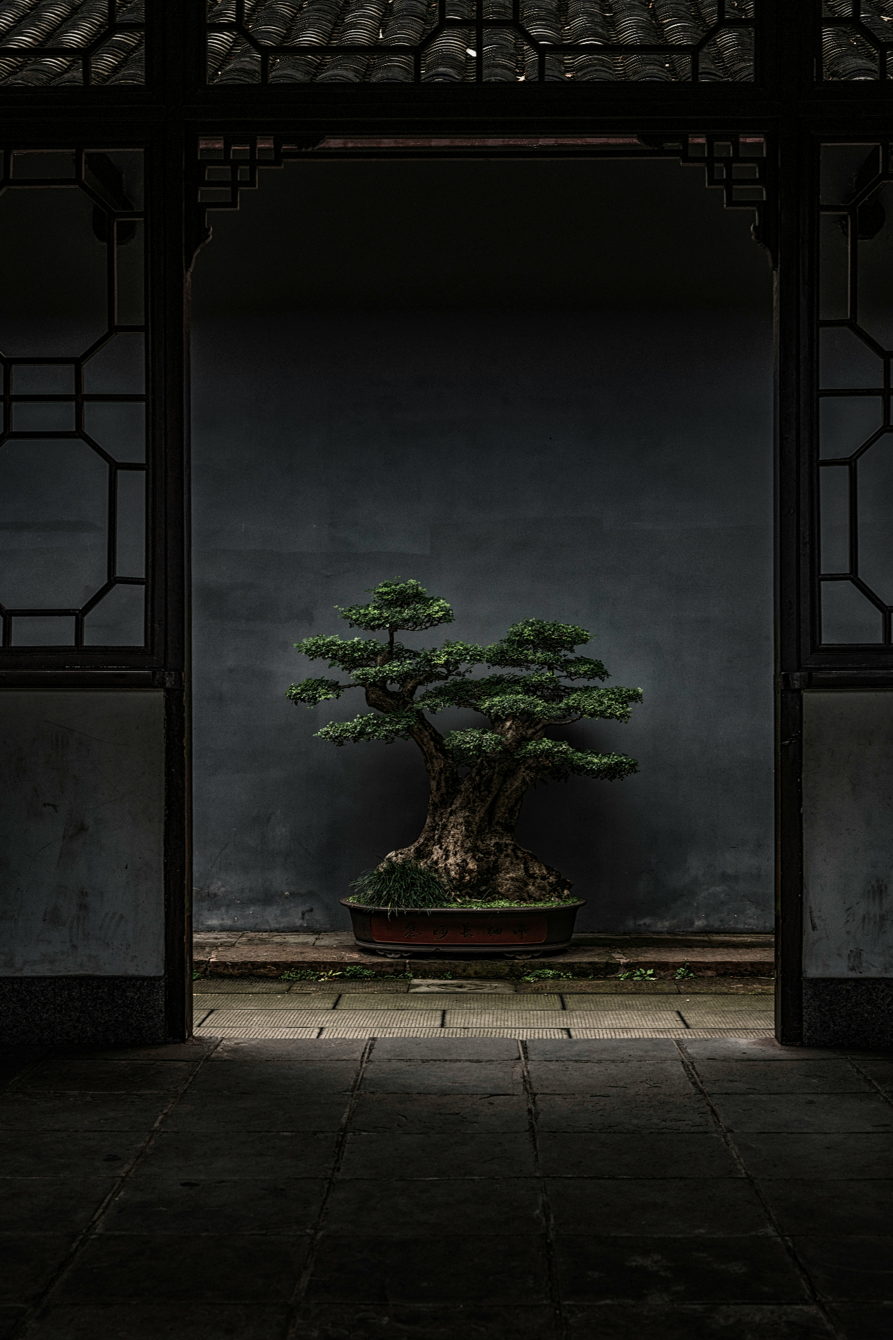 Dunkler Hof mit zentralem Bonsai in architektonischem Rahmen
