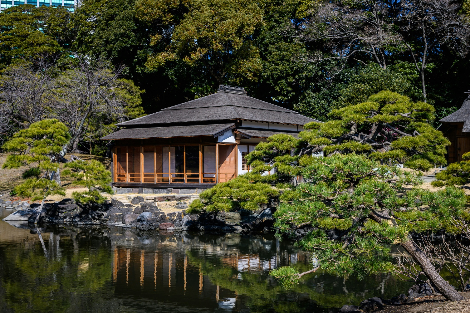 Teehaus am Wasser zwischen Kiefern